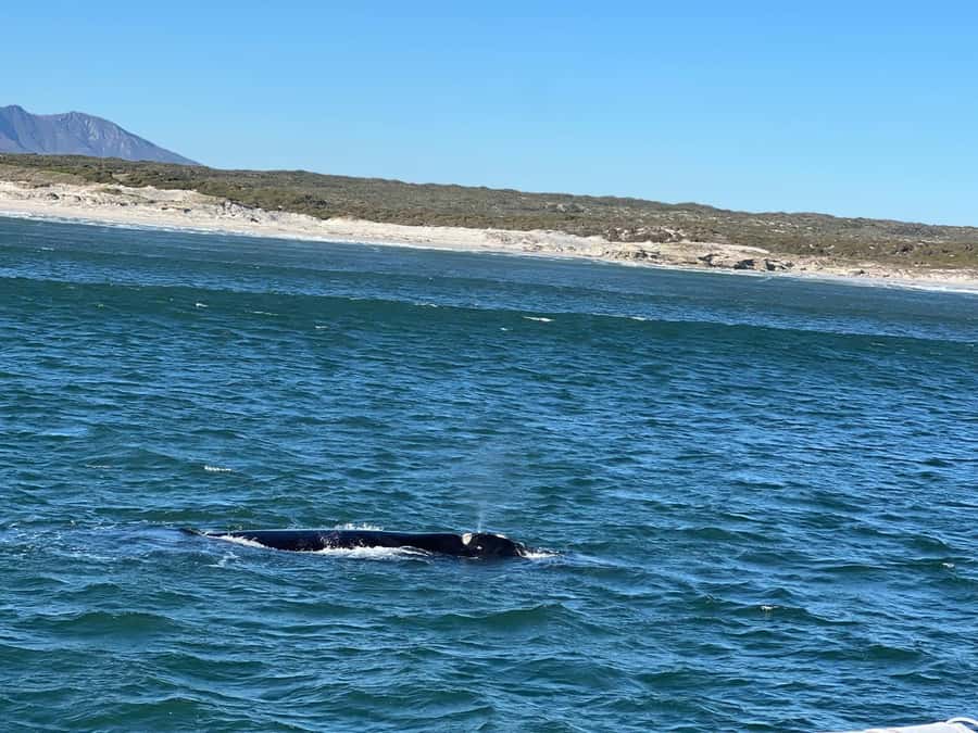 Cape Agulhas, Hermanus whales & Wine Tasting Day Trip - Leaving Cape Town through Khayelitsha and over Sir Lowry’s Pass
