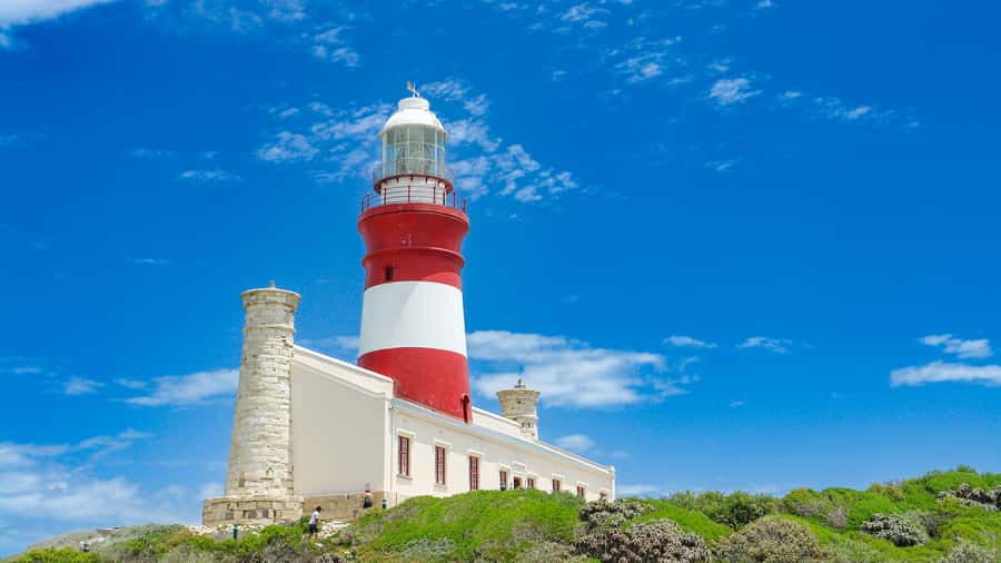 Cape Agulhas: Private Day Tour to Africa's Southernmost Tip. - Walking the Shore at Africa’s Southernmost Point