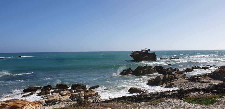 Cape Agulhas: Private Day Tour to Africa's Southernmost Tip. - Who Will Enjoy This Day Most?