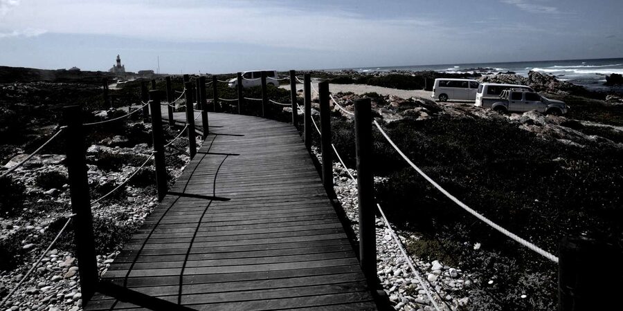 Cape Agulhas Tour from Cape Town - Timing, comfort, and what to bring