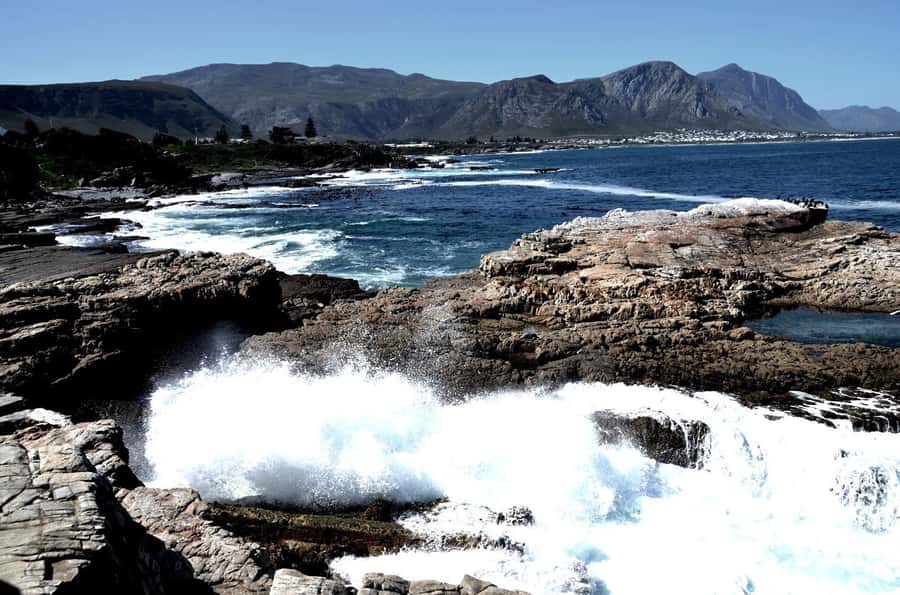 Cape Agulhas Tour from Cape Town - Why Cape Agulhas is worth the long ride