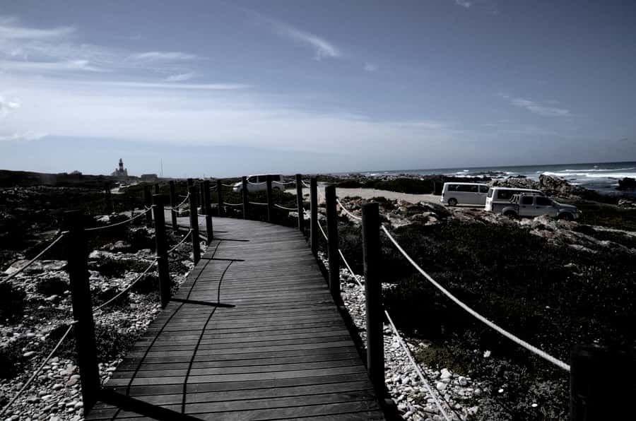 Cape Agulhas Tour from Cape Town - Reaching the southernmost tip of Africa