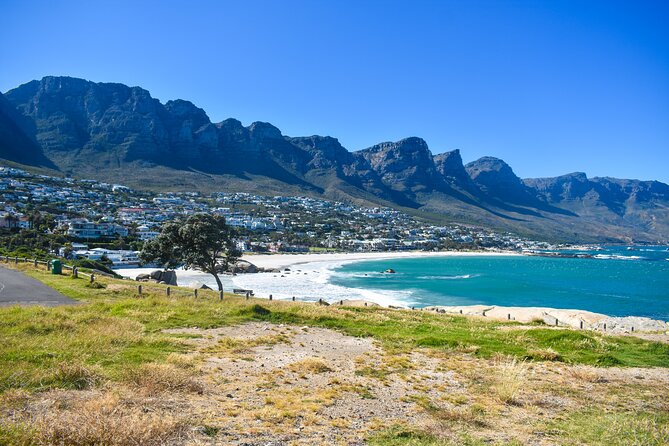 Cape of Good Hope & Boulders Beach Private Tour (Including Lunch) - Hout Bay gives you a choice, not just another viewpoint