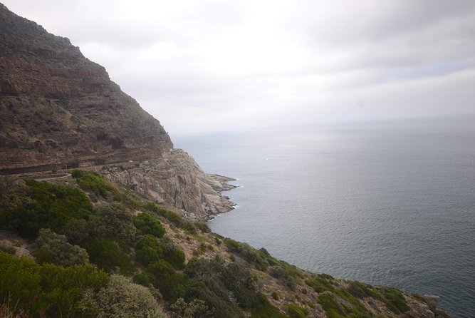 Cape of Good Hope & Boulders Beach Private Tour (Including Lunch) - The ostrich farm is a brief roadside stop