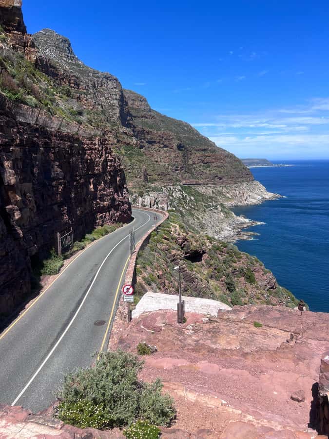 Cape of Good Hope, Chapman's Peak Drive, Penguins , Seals - Key points to know before booking