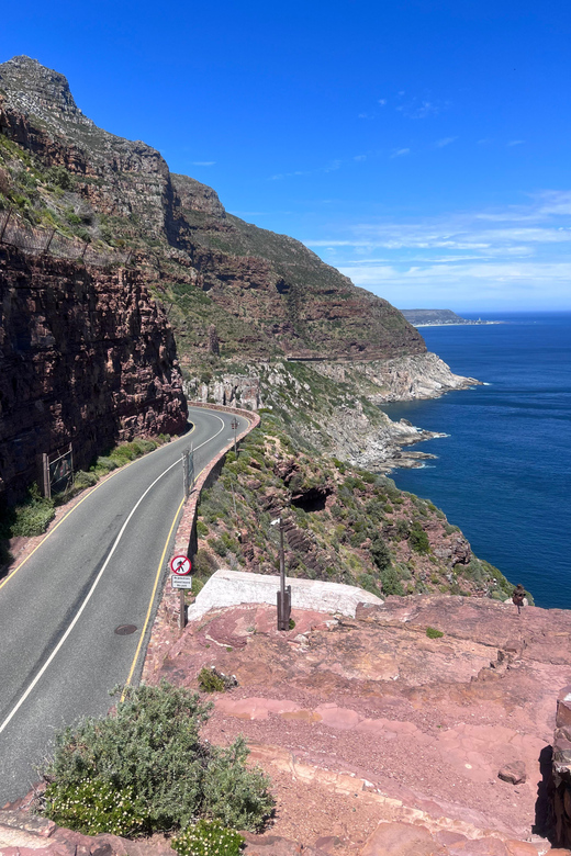 Cape of Good Hope, Chapman's Peak Drive, Penguins , Seals - Boulders Beach and the African penguins