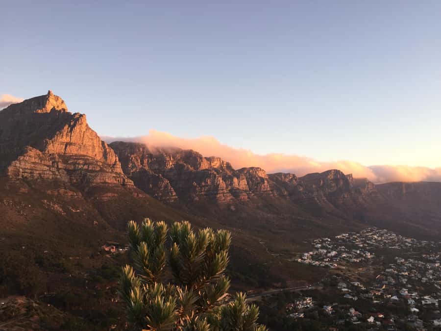 Cape of Good Hope Full-Day Private Tour - Key points to know before booking