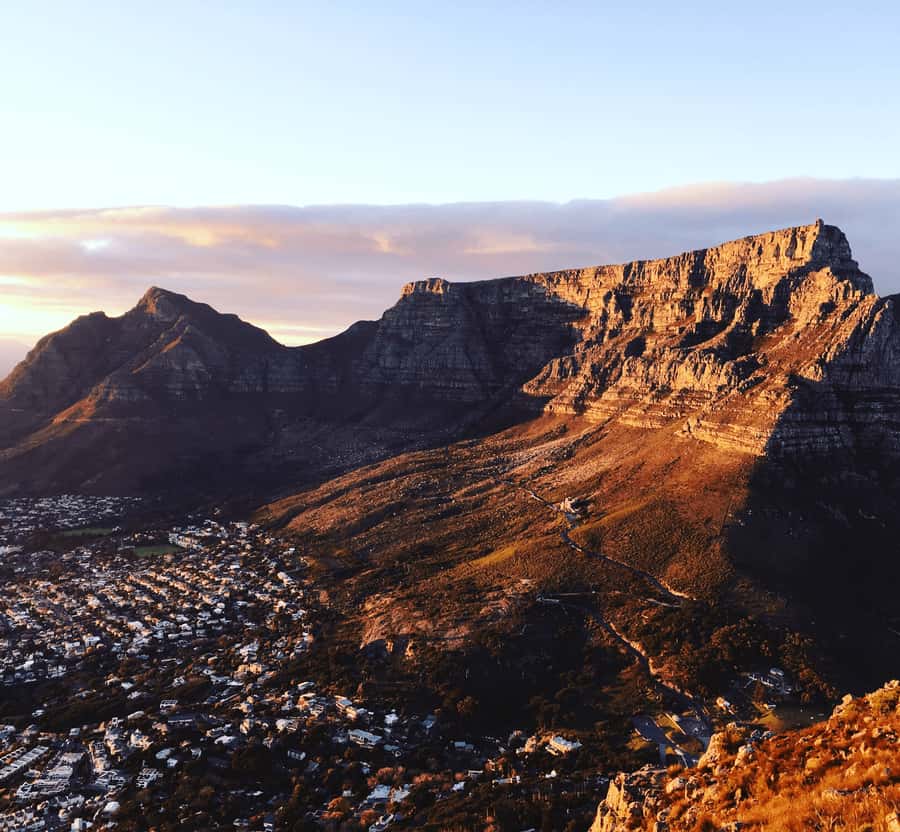 Cape of Good Hope Full-Day Private Tour - Simons Town, harbor life, and included lunch