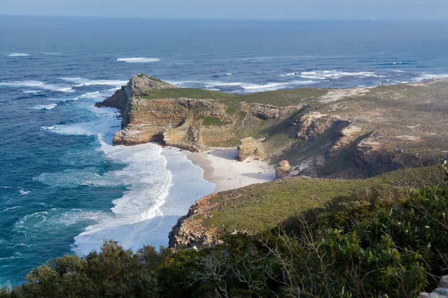 Cape of Good Hope Penguins Seals & Chapmans Peak Shared Tour - Boulders penguins are the day’s most memorable stop
