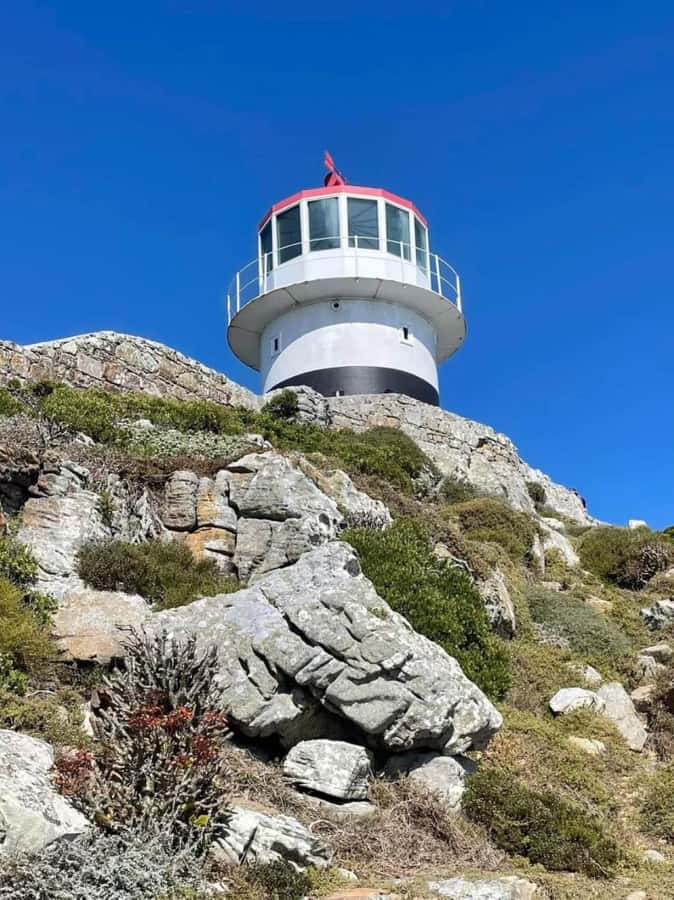 Cape of Good Hope & Penguins Shared Tour - What the $35 price really covers