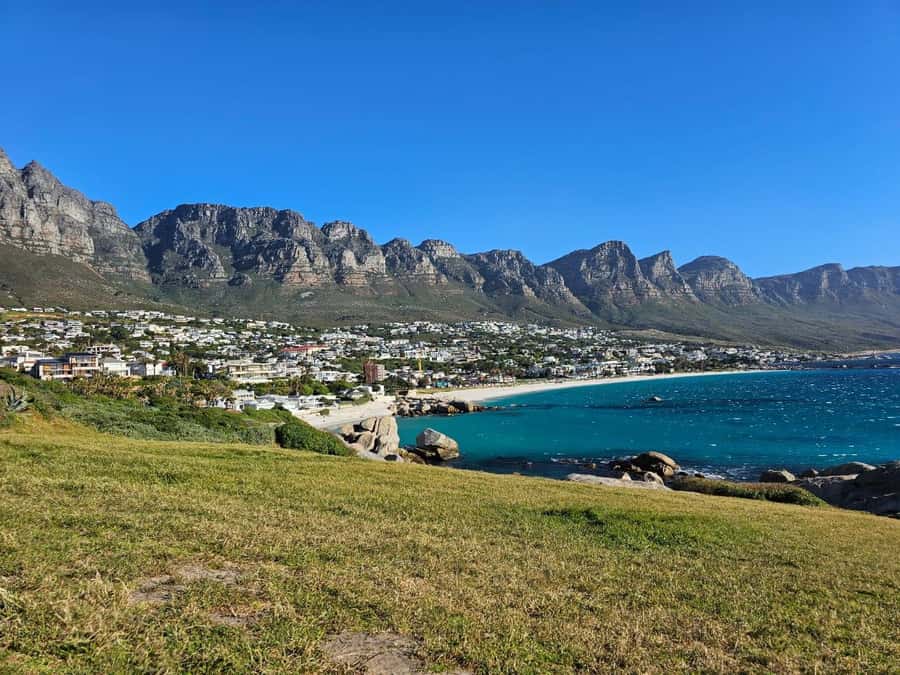 Cape of Good Hope & Penguins Shared Tour - The guide, vehicle, and pace