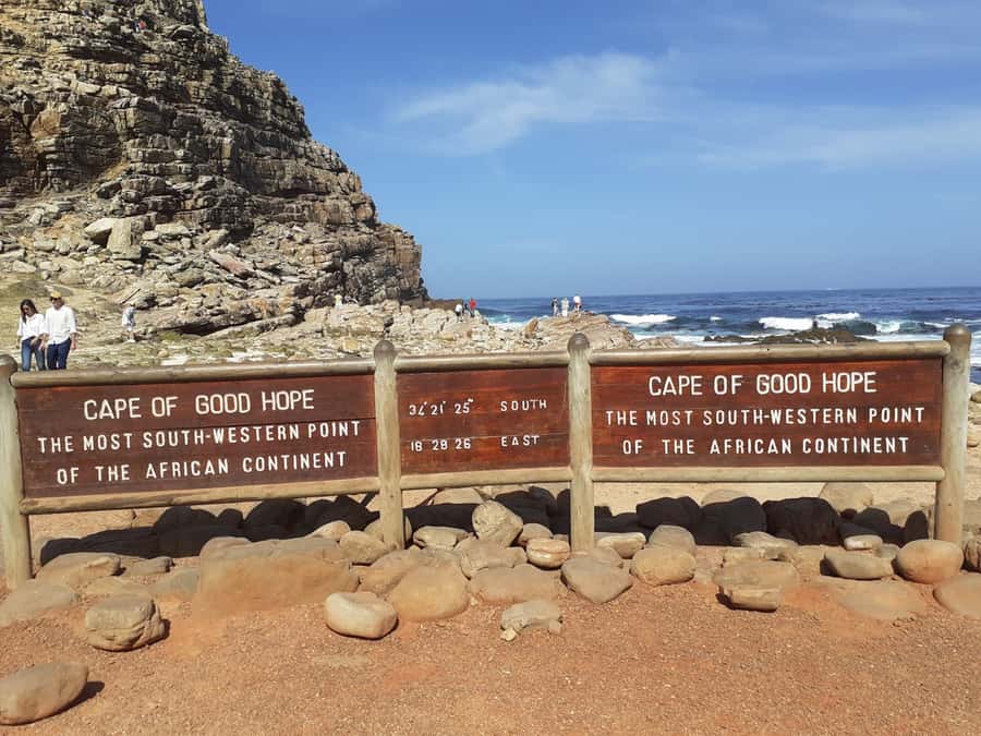 Cape of Good Hope: Sightseeing and African Penguins Tour - Key points at a glance