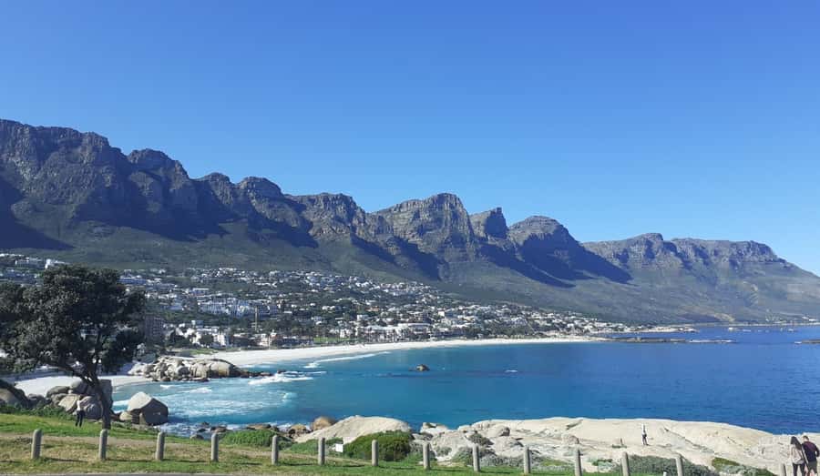 Cape of Good Hope: Sightseeing and African Penguins Tour - Hout Bay and the optional Seal Island boat