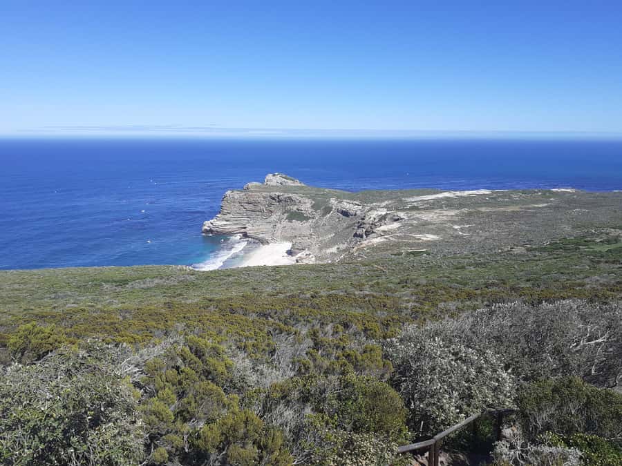 Cape of Good Hope: Sightseeing and African Penguins Tour - Lunch in Simons Town