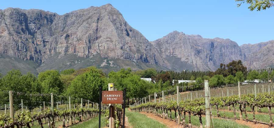 Cape Peninsula and Winelands Private Full-Day Combo Tour - Key points to know before booking