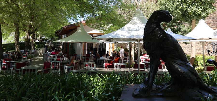 Cape Peninsula and Winelands Private Full-Day Combo Tour - Boys Drive leads into Constantia Valley