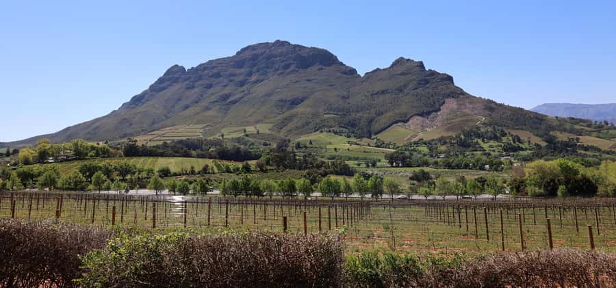 Cape Peninsula and Winelands Private Full-Day Combo Tour - Cape of Good Hope gives the day its wild edge