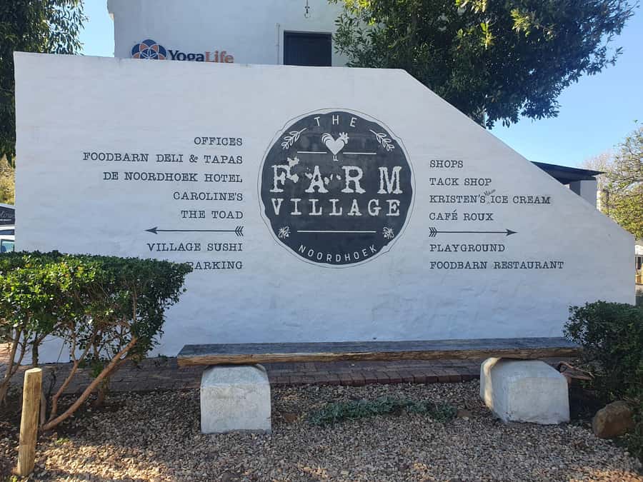 Cape Peninsula Full Day Tour In Private Car - Key points to know before booking