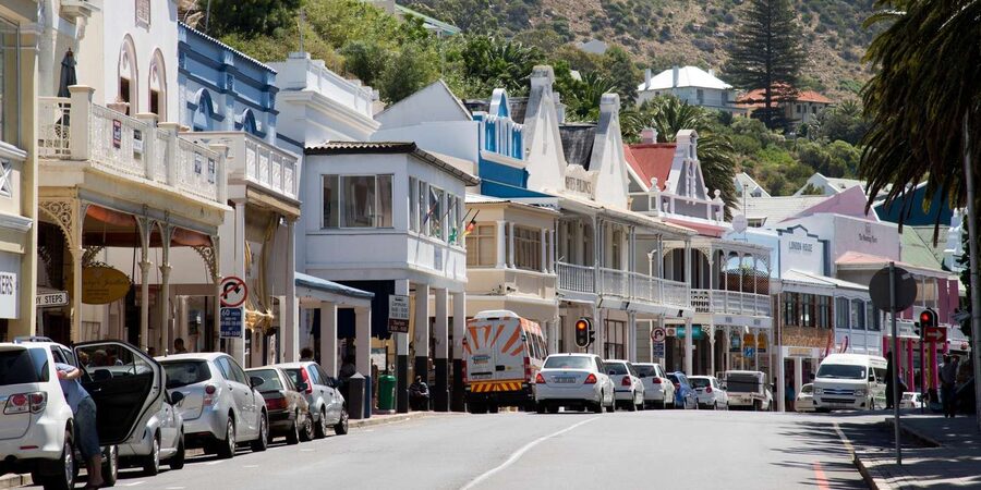 Cape Peninsula & Penguins Beach Half Day Tour from Cape Town - What the Guides Add to a Compact Schedule