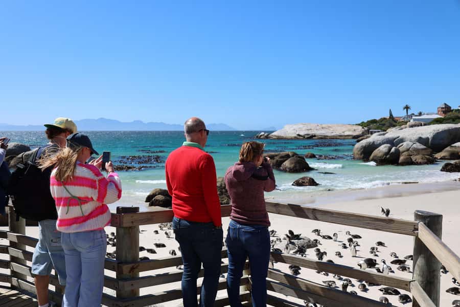 Cape Peninsula & Penguins Beach Half Day Tour from Cape Town - Is the $36 Price Good Value?