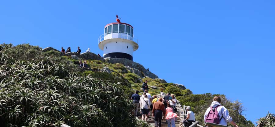 Cape Peninsula & Penguins Beach Half Day Tour from Cape Town - Chapman’s Peak Drive Is Part of the Attraction