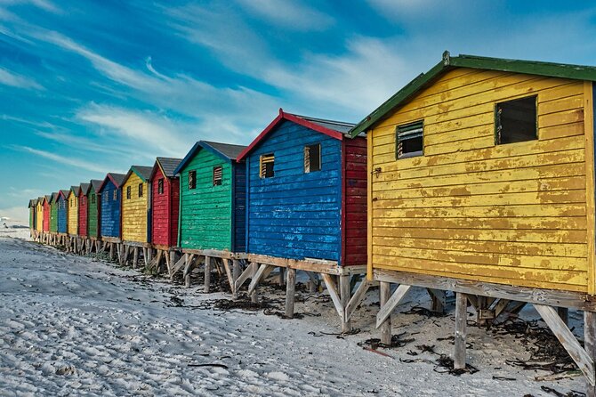 Cape Peninsula & Penguins Private Day Tour, Entrances Included. - Chapman’s Peak is the scenic road highlight