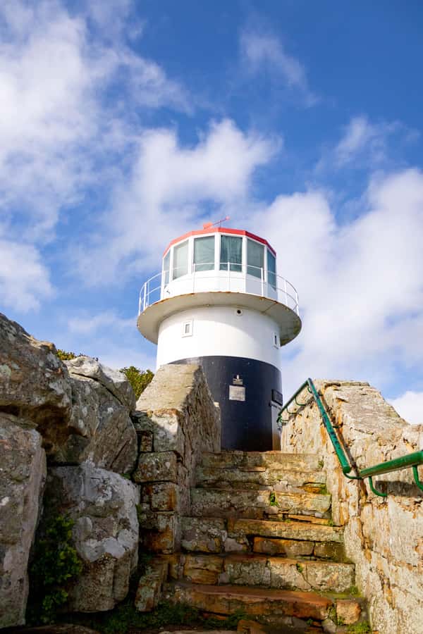 Cape Peninsula: Private Full Day Tour - Key points at a glance