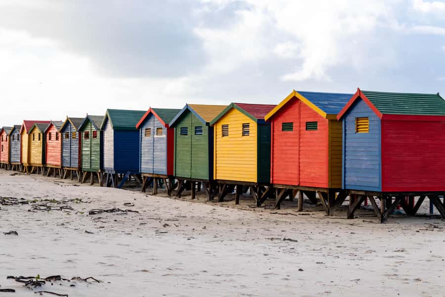 Cape Peninsula: Private Full Day Tour - Boulders Beach and the African penguin colony
