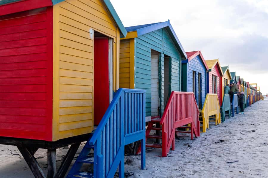 Cape Peninsula: Private Full Day Tour - Lunch with a coastal view