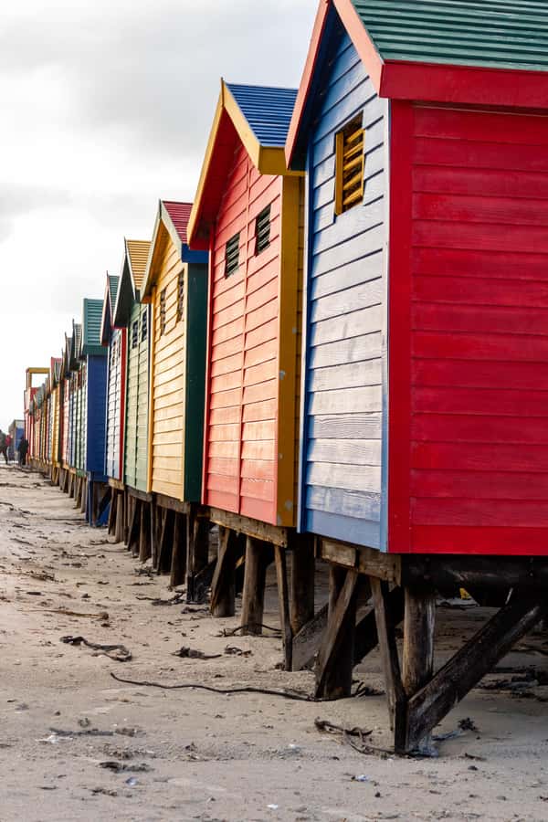Cape Peninsula: Private Full Day Tour - A slower finish in Simons Town