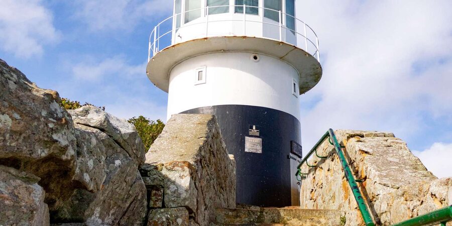 Cape Peninsula: Private Half Day Tour - Cape Point and the Cape of Good Hope