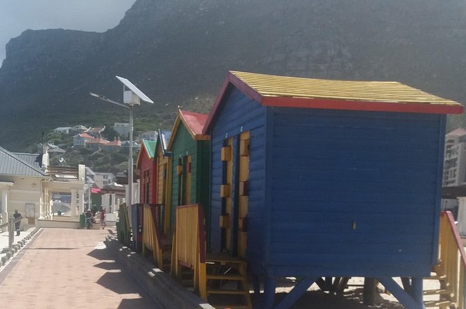 Cape Peninsula Private Tour - Why a private Cape Peninsula day makes sense