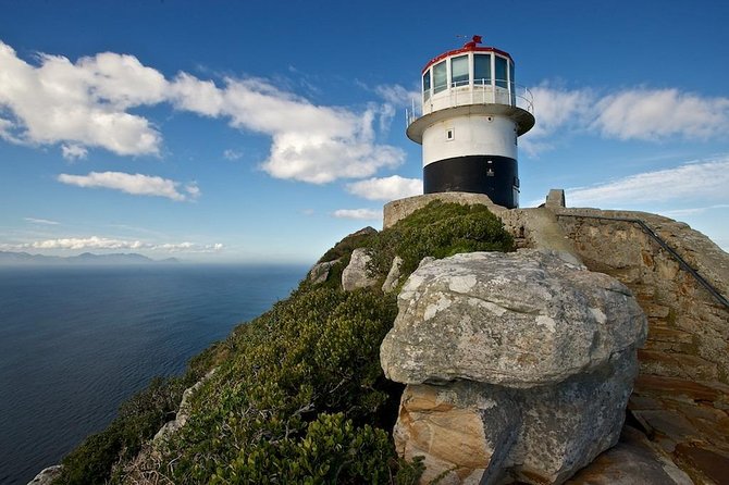 Cape Peninsula Private Tour - Boulders Beach is the penguin highlight