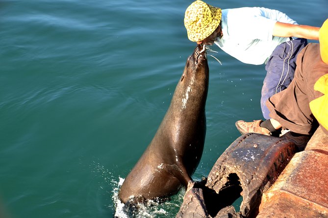 Cape Peninsula Private Tour - Maidens’ Cove gives you an early look at the coast