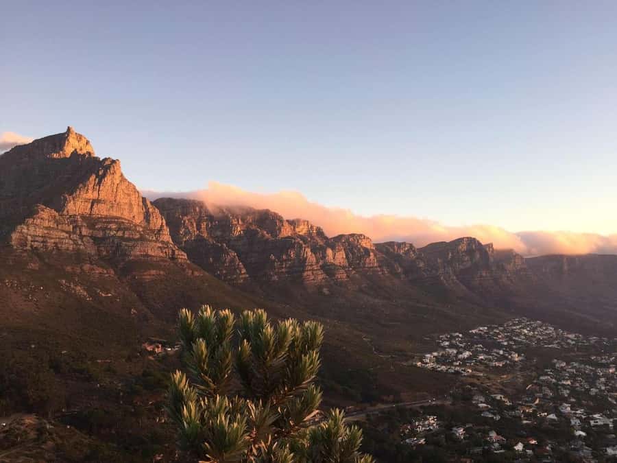 Cape Peninsula Shared Half-Day Tour - Cape of Good Hope Nature Reserve and Cape Point