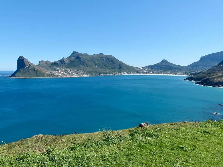 Cape Peninsula Shared Half-Day Tour - False Bay, Simons Town, and the optional penguin stop