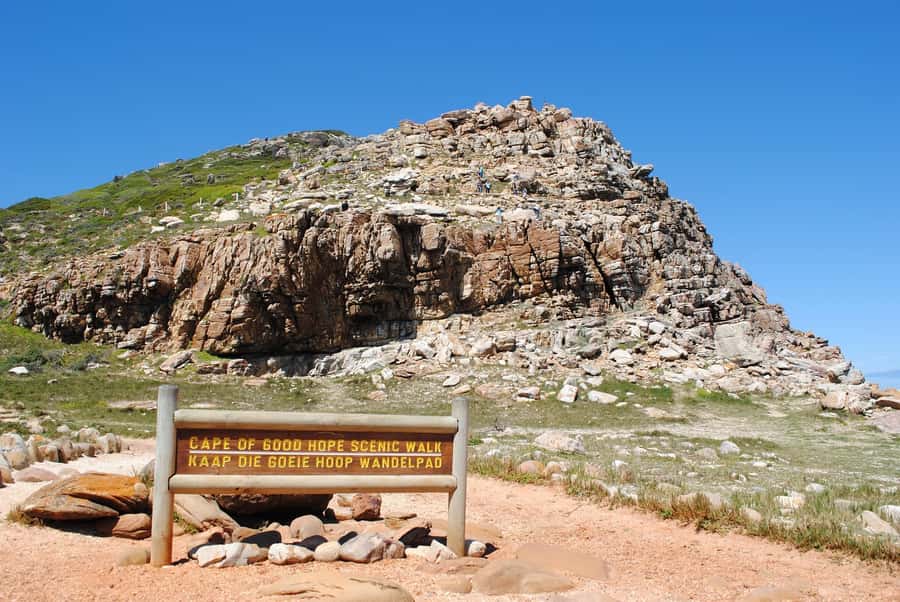 Cape Peninsula Shared Half-Day Tour - Who should choose this peninsula tour?