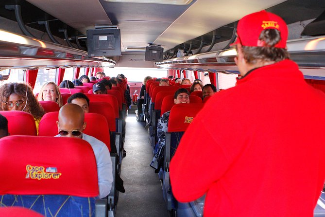 Cape Point and Boulder's Penguins Full Day Tour - Atlantic Seaboard views from Camps Bay