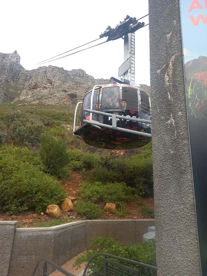 cape point and penguin ,muizenberg, bookapp - Noordhoek and the coffee option