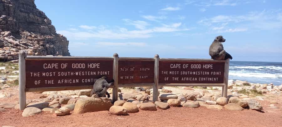 Cape Point Cape of Good Hope, Penguins Private Half day Tour - The guide can shape the experience