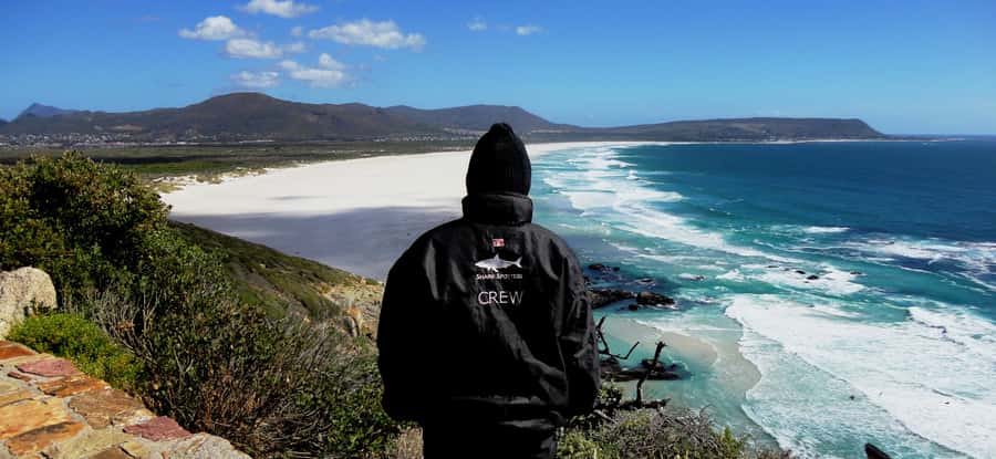 Cape Point Cape of Good Hope, Penguins Private Half day Tour - Boulders Beach and its African penguins