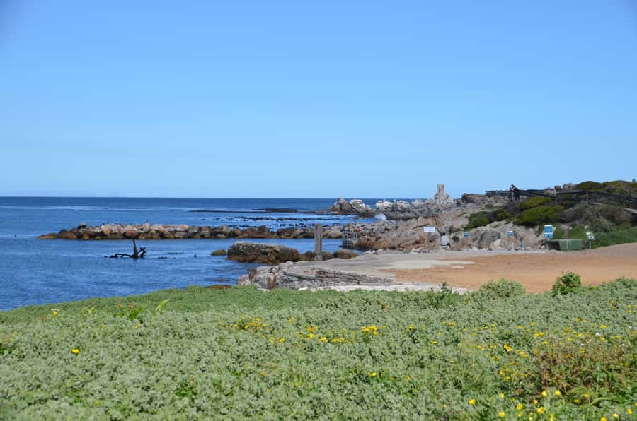 Cape Point Full-Day Tour From Cape Town - Through Noordhoek, Kommetjie, and the national park