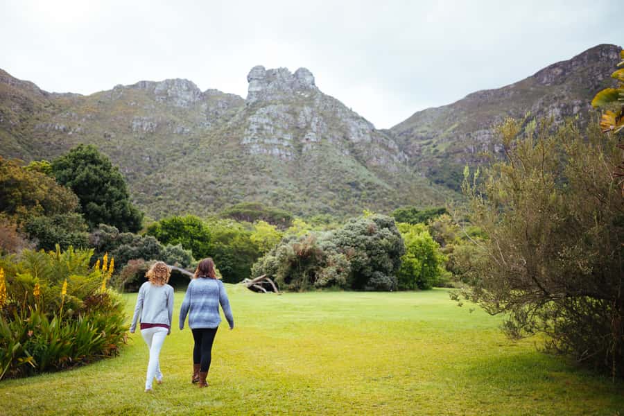 Cape Point Full-Day Tour From Cape Town - Simon’s Town, lunch, and the eastern coast