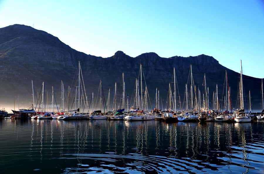 Cape Point Full-Day Tour From Cape Town - Kirstenbosch closes the day