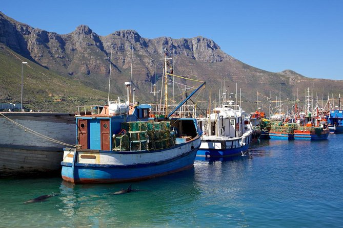 Cape Point Sightseeing Tour including Cape of Good Hope full day from Cape Town - Hout Bay, seals, and the optional boat ride