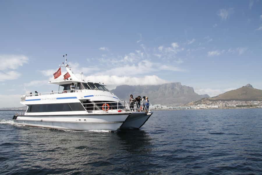 Cape Town: 1-Hour Pre-Sunset Champagne Cruise - Leaving the harbour and finding your view