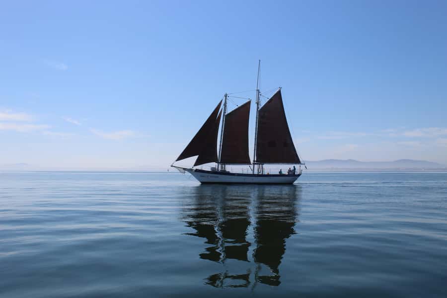 Cape Town: 1 Hour Table Bay Sailing Tour - Setting out from the V&A Waterfront