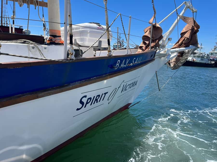 Cape Town: 1 Hour Table Bay Sailing Tour - Table Mountain from the water