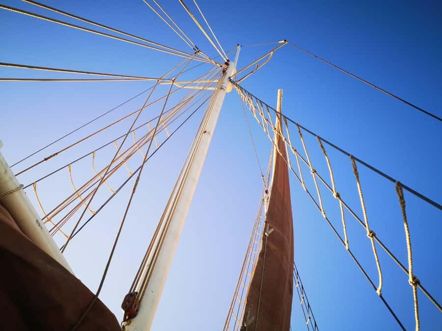 Cape Town: 1 Hour Table Bay Sailing Tour - What the sailing feels like