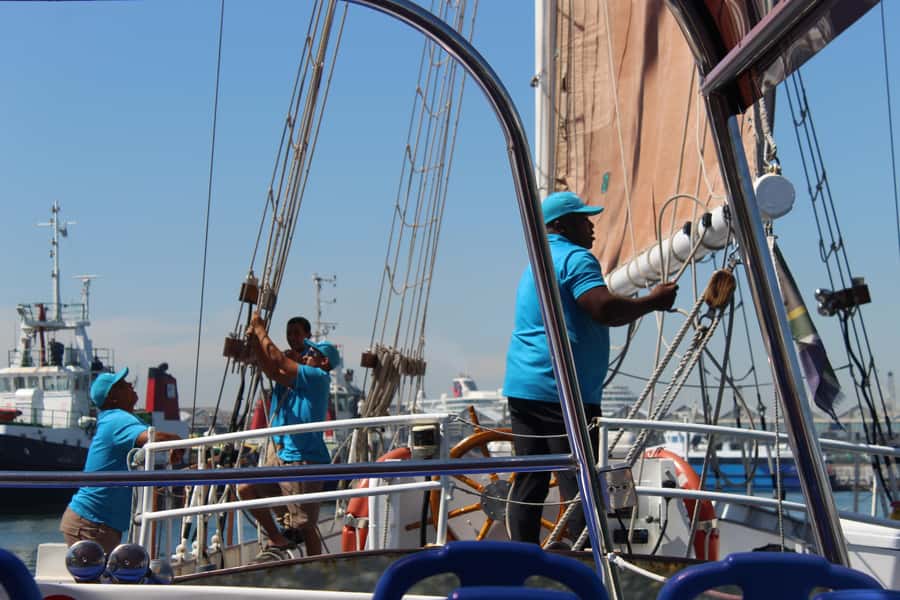 Cape Town: 1 Hour Table Bay Sailing Tour - A drink with the city behind you